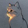 Profilbild von orkide
