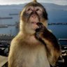 m4rim4ri ᶜʳᶠ profil fotoğrafı