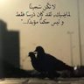 Фото профиля أبو راشد