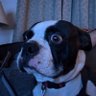 Profilbild von Camuru