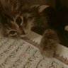 Фото профиля GHASAQ