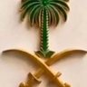 سعد الرجباني's profile picture