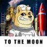 Фото профиля Doge of SpaceX
