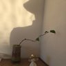 tree_쏭쏭🌿_🐋 的头像