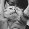 Profilbild von rai