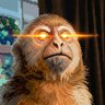 Fidalgo's profile picture