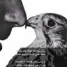 عبوود عدن profil fotoğrafı