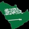 Profilbild von 🇸🇦AlFarida/الفريدة🇸🇦