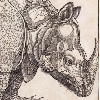 John Wakefield's profile picture