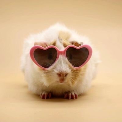 Carisinaa's profile picture