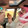 SA 🇸🇦 的头像