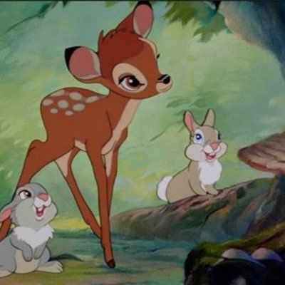 chai, mostly chei's profile picture