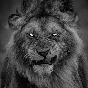 ntare ivan's profile picture