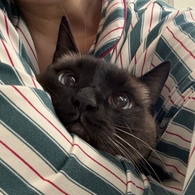 새벽이와 햇살이's profile picture