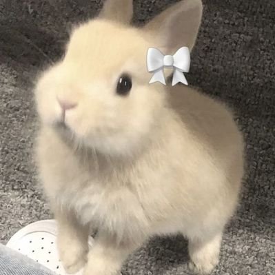 Popularrab84605's profile picture