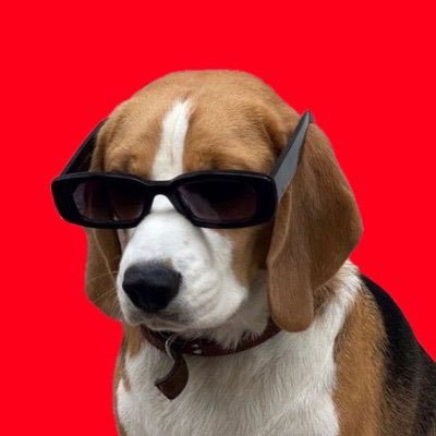 Tensor's profile picture