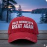 MN = DFL FRAUD! 的头像