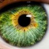 Z profil fotoğrafı