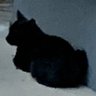 てぃーにー 的头像