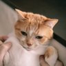 Nejumiro.P's profile picture