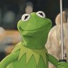 Фото профиля kerm it 🐸