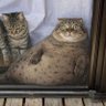 Bearmhee1993 profil fotoğrafı