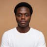 Emmanuel Olafisoye's profile picture