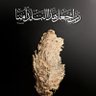 Фото профиля Noora Albalam
