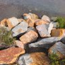 Profilbild von Marta RTS