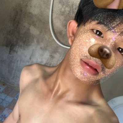 srtiulc's profile picture
