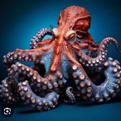 Mr. Octavia's profile picture