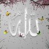 عيسى المزاحم profil fotoğrafı
