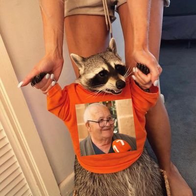 Mapache Mapachez | 🇪🇸's profile picture