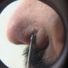 Youtorr's profile picture