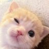 Profilbild von ไม่สุงสิงกะใครเพราะเป็นไมโครซอฟเวิร์ด