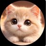 Profilbild von أميره