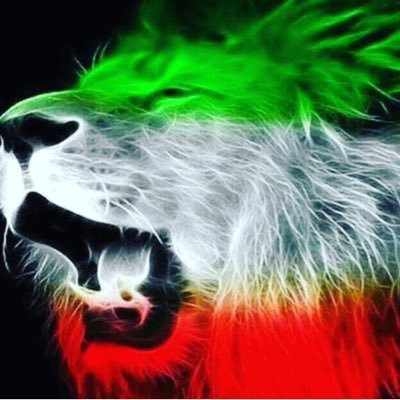 m.motaharnia's profile picture