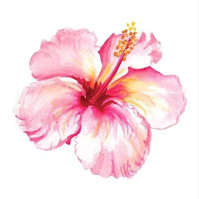 bersennandung's profile picture