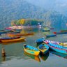 फेवा ताल profil fotoğrafı