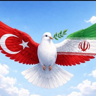 Dr. Muammer Aydın's profile picture