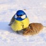 Бандеролька ✡️'s profile picture