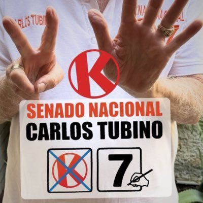 TubinoCarlos's profile picture