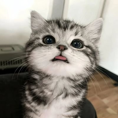 le10050825's profile picture