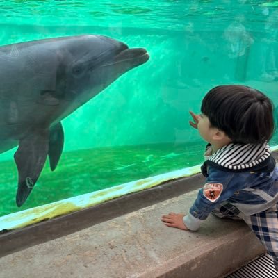 Aya ☺︎2y🚓＋1y🦁's profile picture