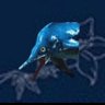 ヴァギナラプトル profil fotoğrafı