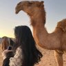 فـــرس 🐎 的头像