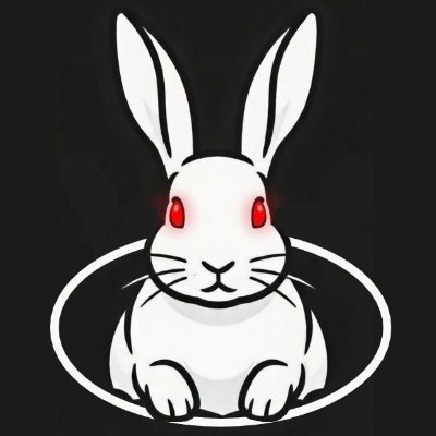 🏴󠁧󠁢󠁥󠁮󠁧󠁿🇺🇸 RabbiHoles 🇩🇪🏴󠁧󠁢󠁥󠁮󠁧󠁿's profile picture