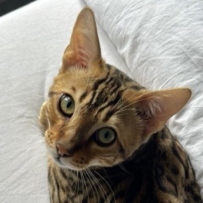 sadie's profile picture