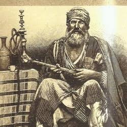 Sheikh Maqsoud's profile picture