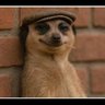 Jorginho's profile picture